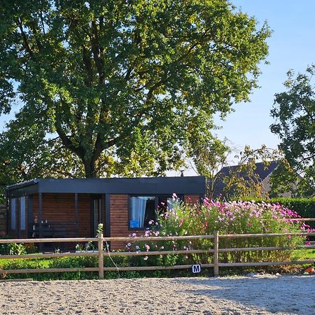 Houten Huisje Tussen Paarden Nieuwerkerken Exterior photo
