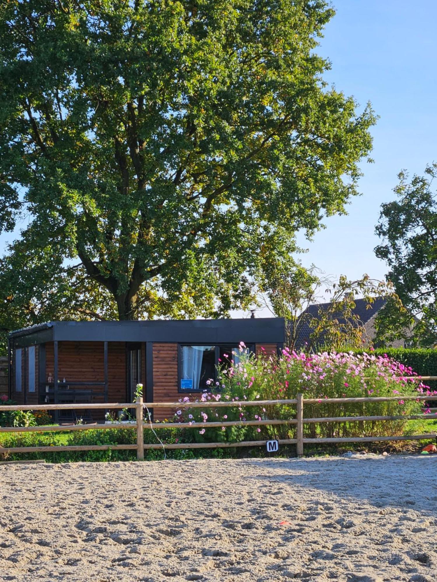 Houten Huisje Tussen Paarden Nieuwerkerken Exterior photo